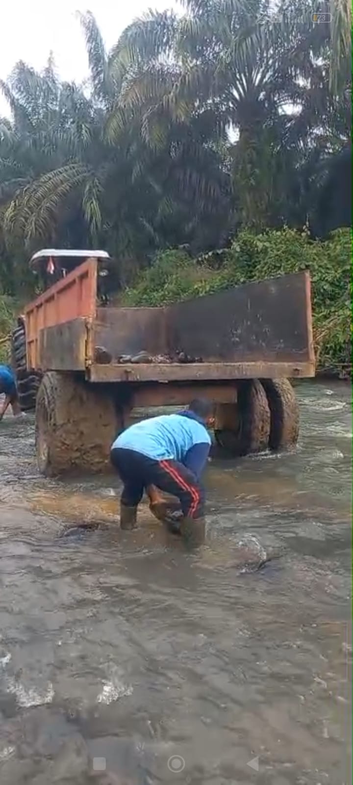 Pengangkutan Batu Guna Perbaikan Jalan Perkebunan Sawit Koperasi Produsen Madani
