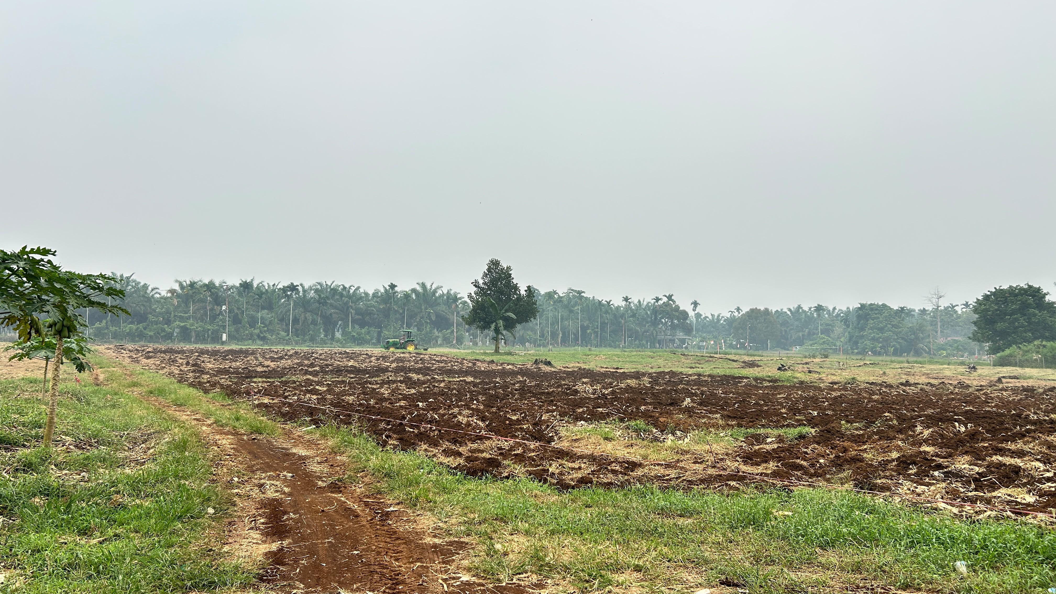 BUMNag Madani Lubuk Malako Laksanakan Bajak Lahan Persiapan Budidaya Jagung Group 2 Tahap 1